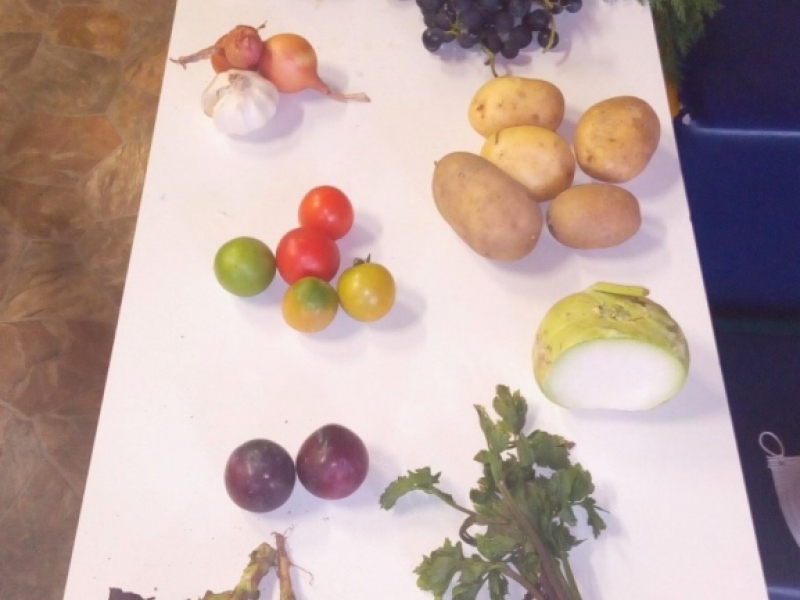 Ochutnávka ovocia a zeleniny 