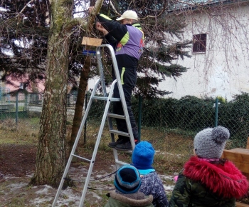 Zhotovenie búdiek pre vtáčikov v MŠ