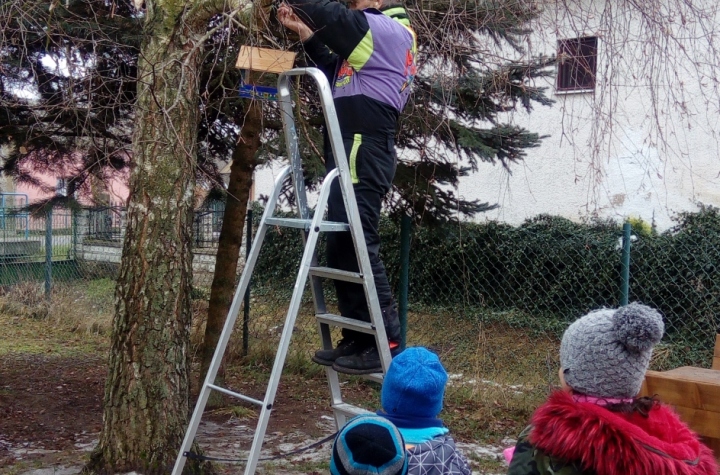 Zhotovenie búdiek pre vtáčikov v MŠ