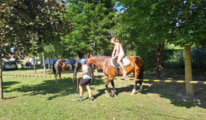 Zobraziť fotografiu