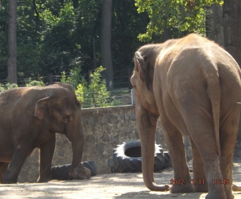 Výlet na termálne kúpalisko a ZOO 29.08.2017