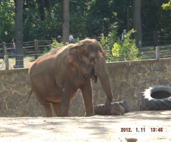 Výlet na termálne kúpalisko a ZOO 29.08.2017