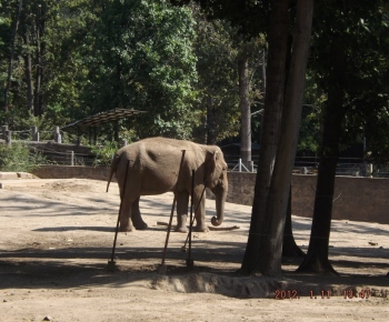 Výlet na termálne kúpalisko a ZOO 29.08.2017